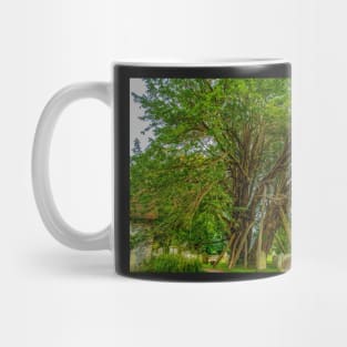 Ancient Yew Tree, Wilington Churchyard, East Sussex Mug